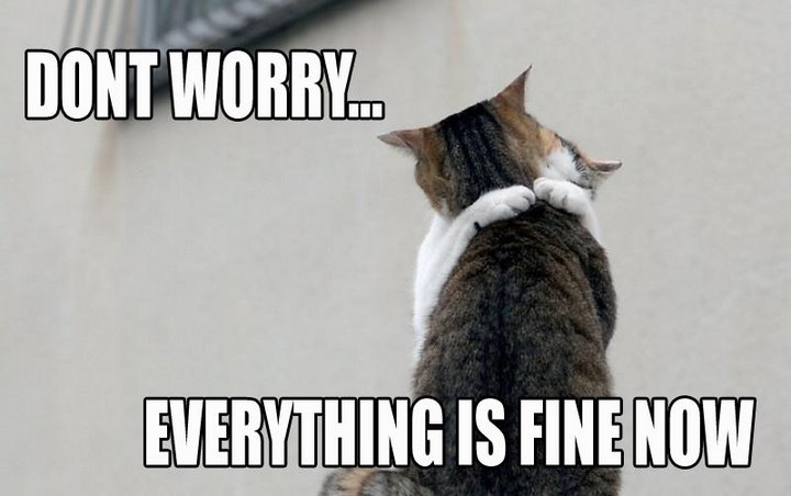 everythingisfinenow.jpg