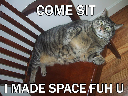 isolationcat.jpg
