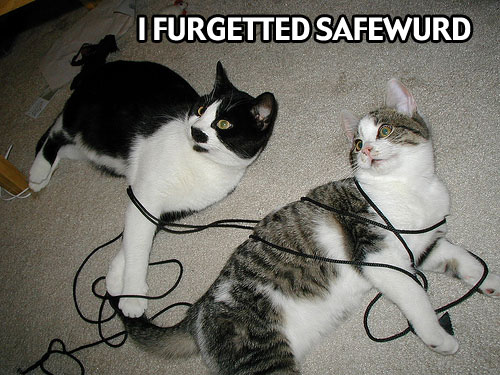 safewurd.jpg