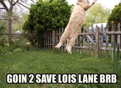 superkitty1.jpg