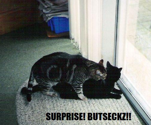 surprise-buttseckz.jpg