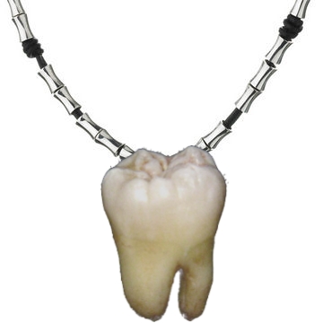 toothnecklace2.jpg