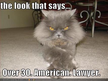 vdaylolcat3.jpg