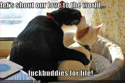 vdaylolcat4.jpg