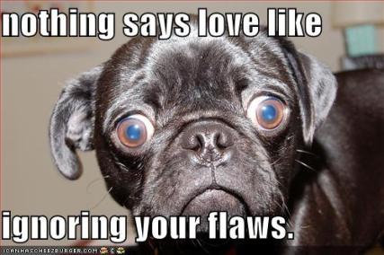 vdaylolcat5.jpg
