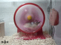 zoom zoom!