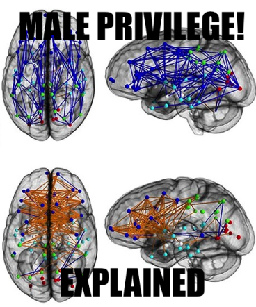 my brain throws like a girl