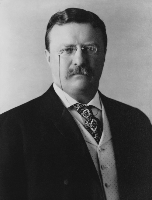 teddyroosevelt