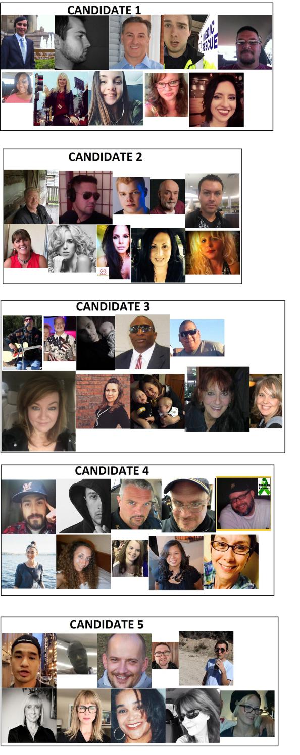 guassthecandidate