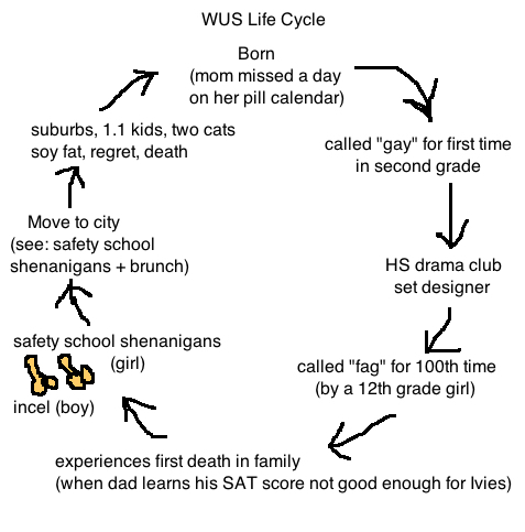 wuslifecycle