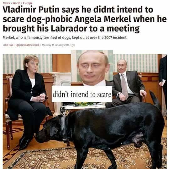 yourdailyputin