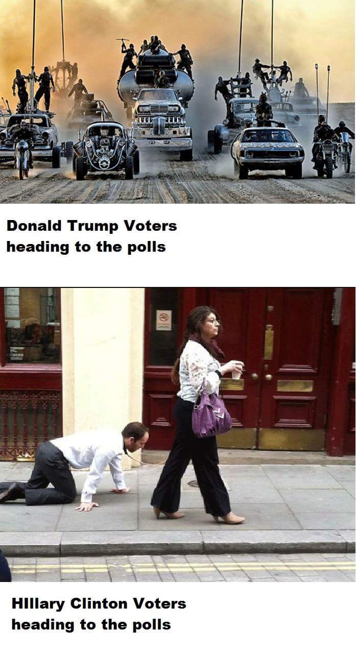 voterscontrast