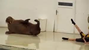 walrusyoga